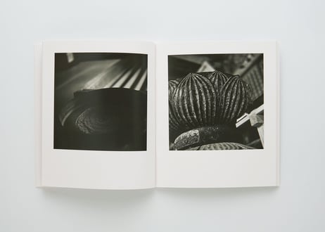 『per se』柴田 麻希 ---PER SE by Maki Shibata