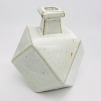 十二面体角花瓶