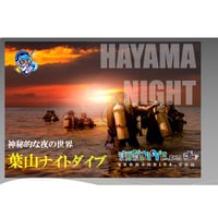 毎日開催葉山のボートナイト