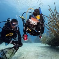 PADI AWARE ゴミ拾いバッグ