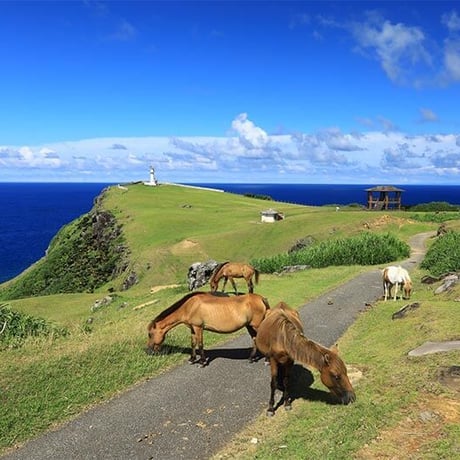 ITEM | 湘南DIVE.com オンラインショップ