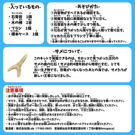 【セット販売】モササウルス発掘キット＆古代ザメの歯発掘キット