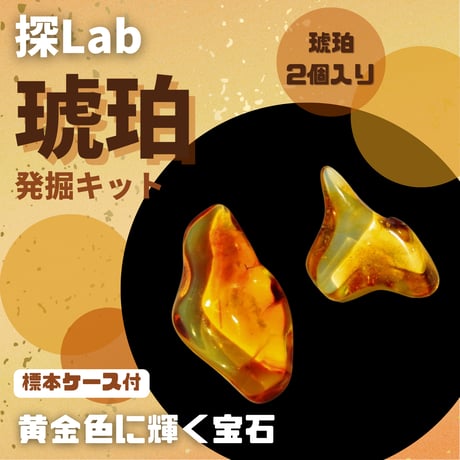 【セット販売】ホワイトレインボーアンモナイト発掘キット＆琥珀発掘キット