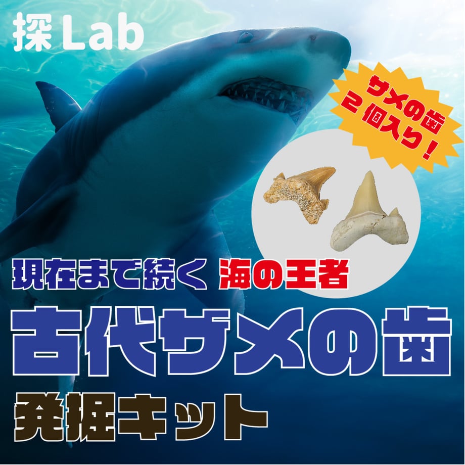 6901db500b01f531ff41a35c