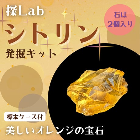 【美しいオレンジの宝石】シトリン発掘キット