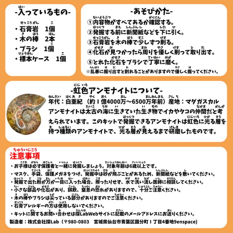 【虹色に輝く美しい化石】虹色アンモナイト発掘キット