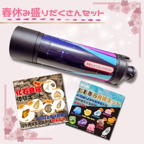 CATEGORY 化石＆鉱石発掘/研磨キット | 名取天文台SHOP