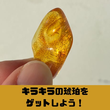 【黄金色に輝く宝石】琥珀発掘キット
