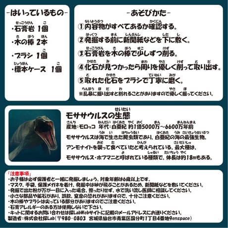 【白亜紀の海最強】モササウルス発掘キット（アンモナイト付き）