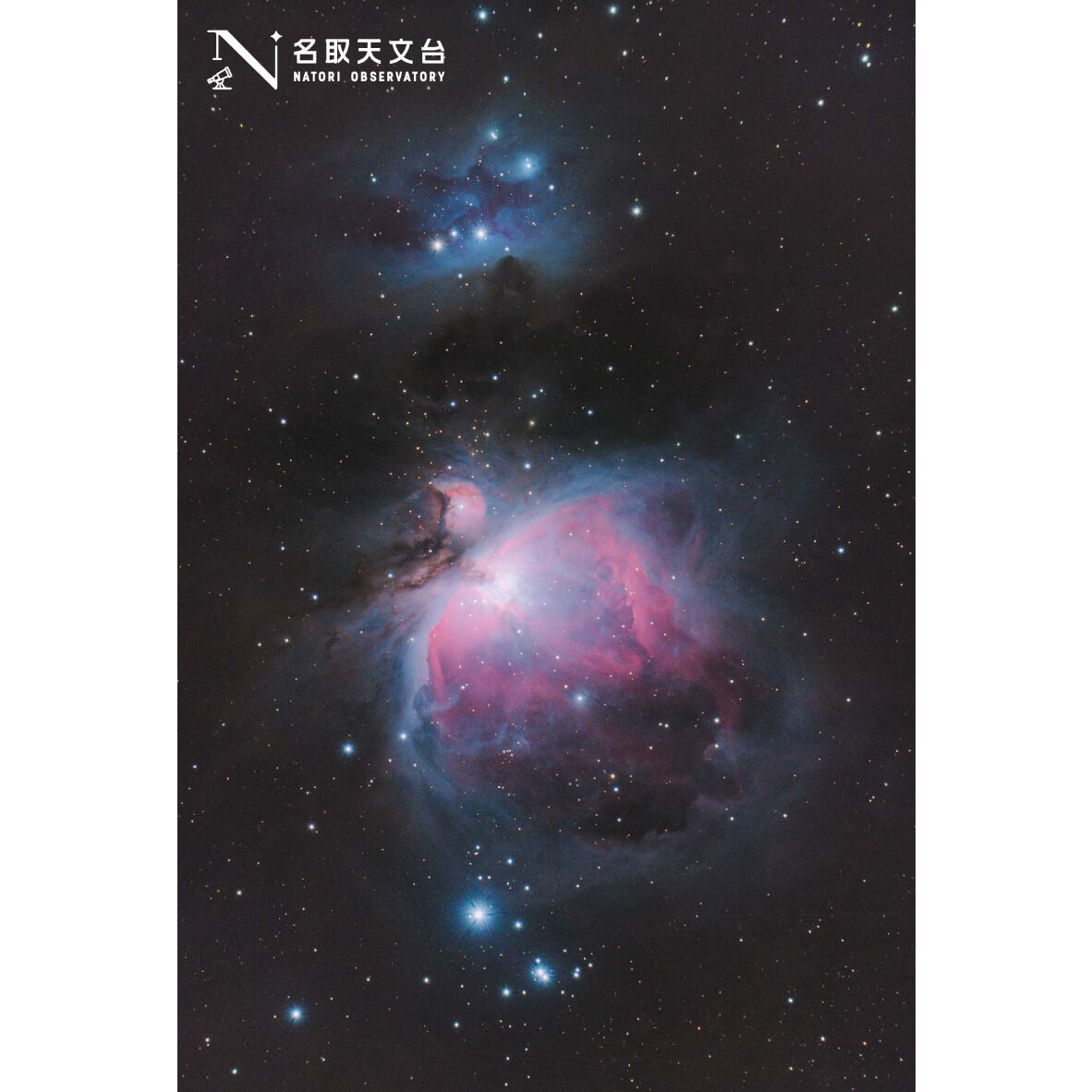 ポストカード（オリオン大星雲） | 名取天文台SHOP