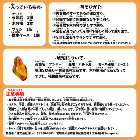 【黄金色に輝く宝石】琥珀発掘キット