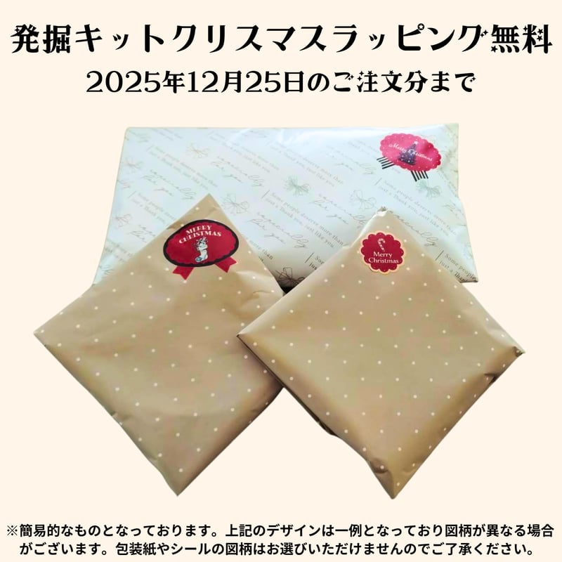 化石発掘体験キット（バラエティーセット） | 名取天文台SHOP