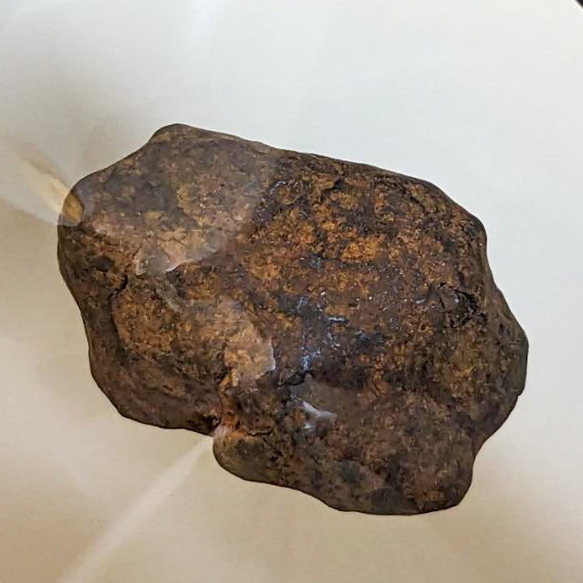 隕石標本】石質隕石（コンドライト/NWA869）ディスプレイケース付