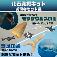【セット販売】モササウルス発掘キット＆古代ザメの歯発掘キット