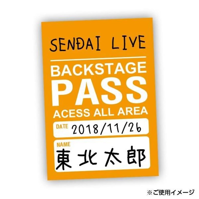 RIPSLYME　② ツアースタッフ用　アクセスオールエリアパス RIPSLYME② ツアースタッフ用アクセスオールエリアパス