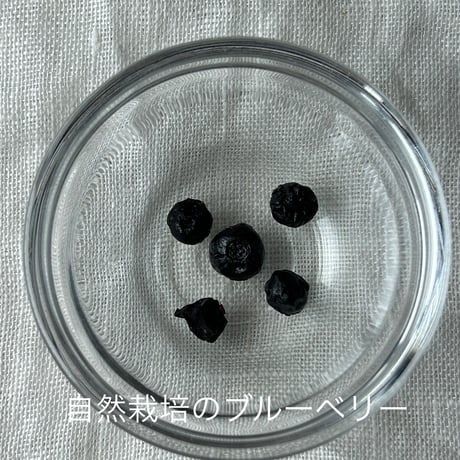 食べるお茶　「R茶」