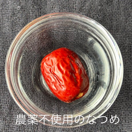 食べるお茶　「R茶」