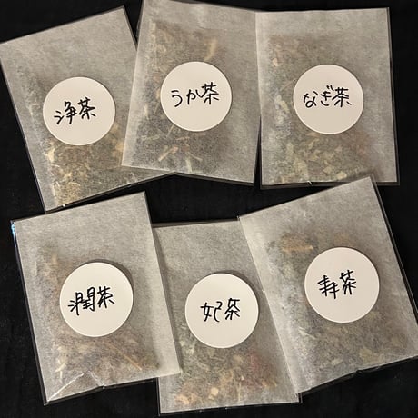 6種セット