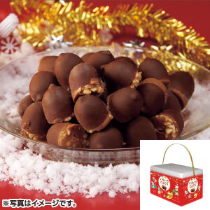 いろいろどんぐりパーティーセット | 赤塚製氷 STORE