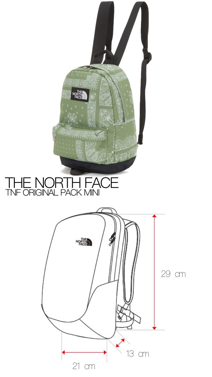 【新作】TNF ORIGINAL PACK オリジナルパック　ノースフェイス　赤