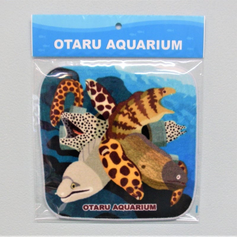 オリジナルミニタオル ぎゅーぎゅーウツボ | おたる水族館 ペン太の