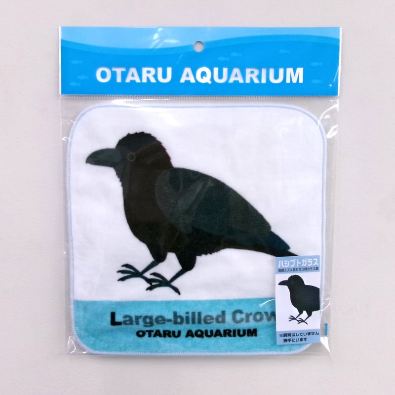 フルカラーミニタオル ハシブトガラス（勝手にいます） | おたる水族館