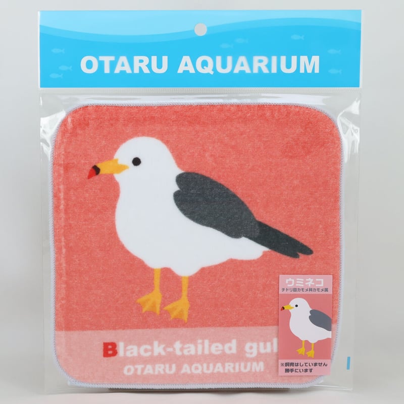 オリジナルミニタオル ウミネコ（勝手にいます） | おたる水族館 ペン