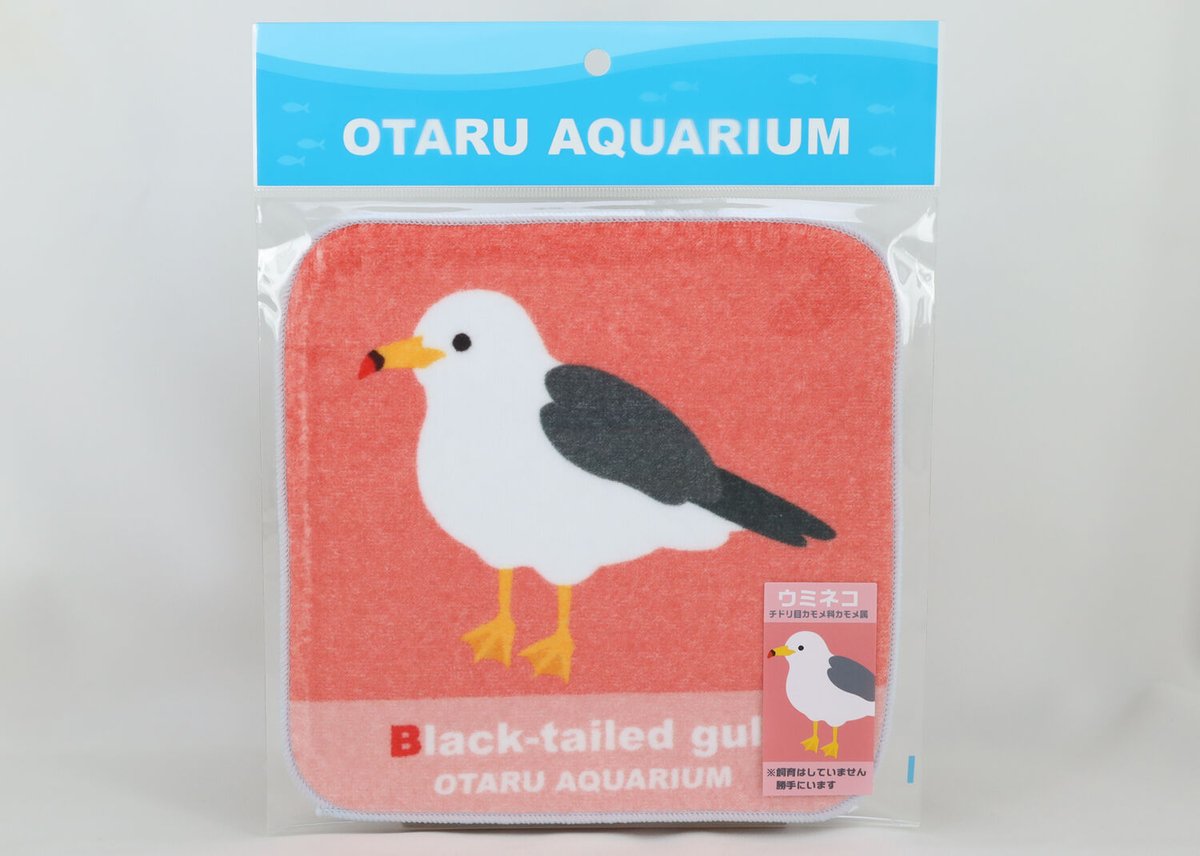 オリジナルミニタオル ウミネコ（勝手にいます） | おたる水族館 ペン