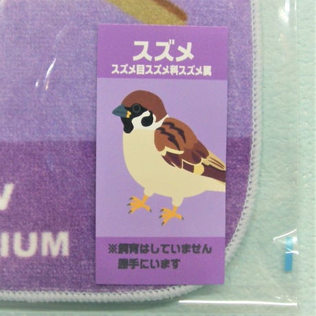 オリジナルミニタオル　スズメ（勝手にいます）