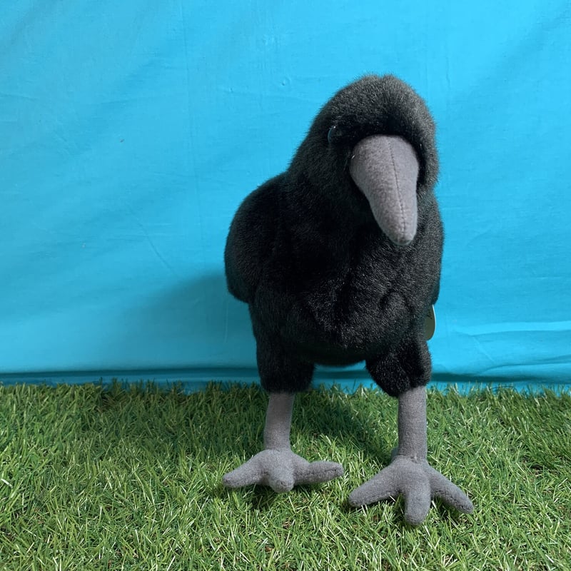 カラスのぬいぐるみ