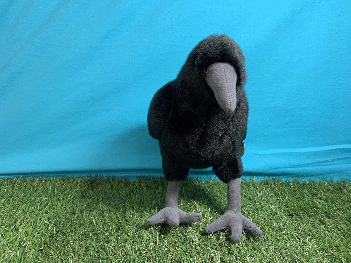 1点もの♥ぬいぐるみ✽アートドール✽手足可動✽アルビノカラス✽スーパーデラックス 1点もの♥ぬいぐるみ✽アートドール✽手足可動✽アルビノカラス