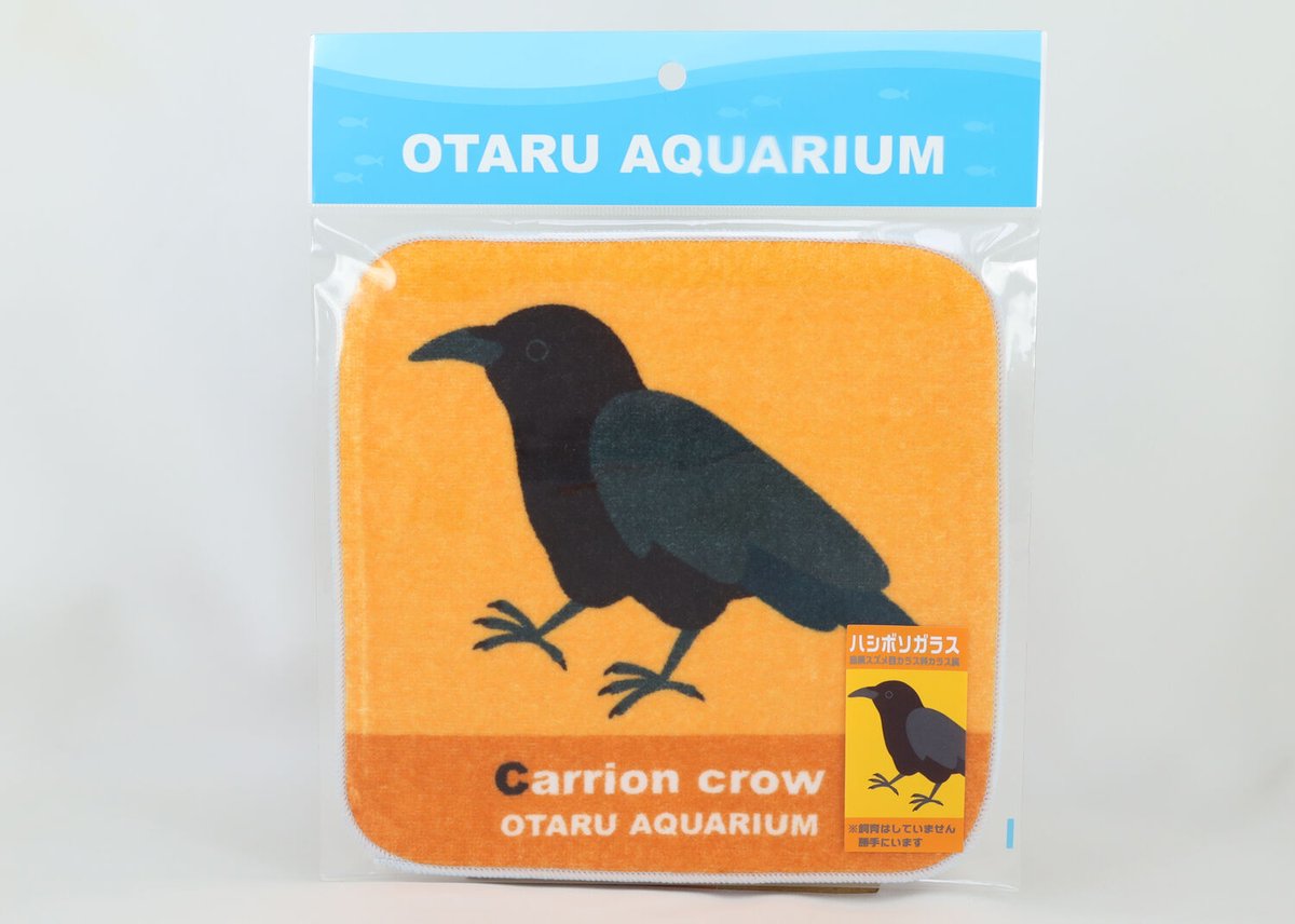 オリジナルミニタオル ハシボソガラス（勝手にいます） | おたる水族館