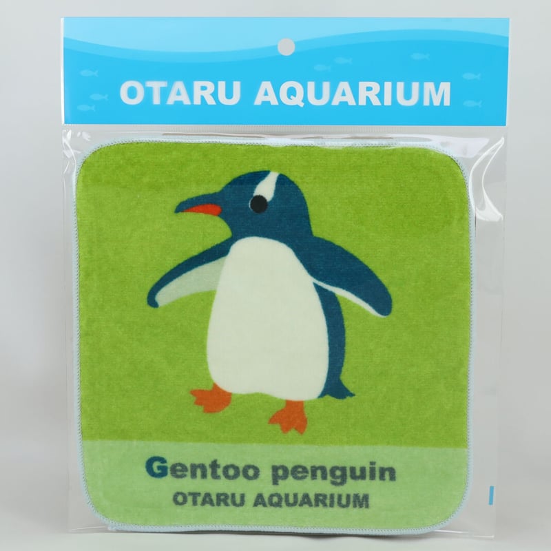オリジナルミニタオル ジェンツーペンギン | おたる水族館 ペン太の