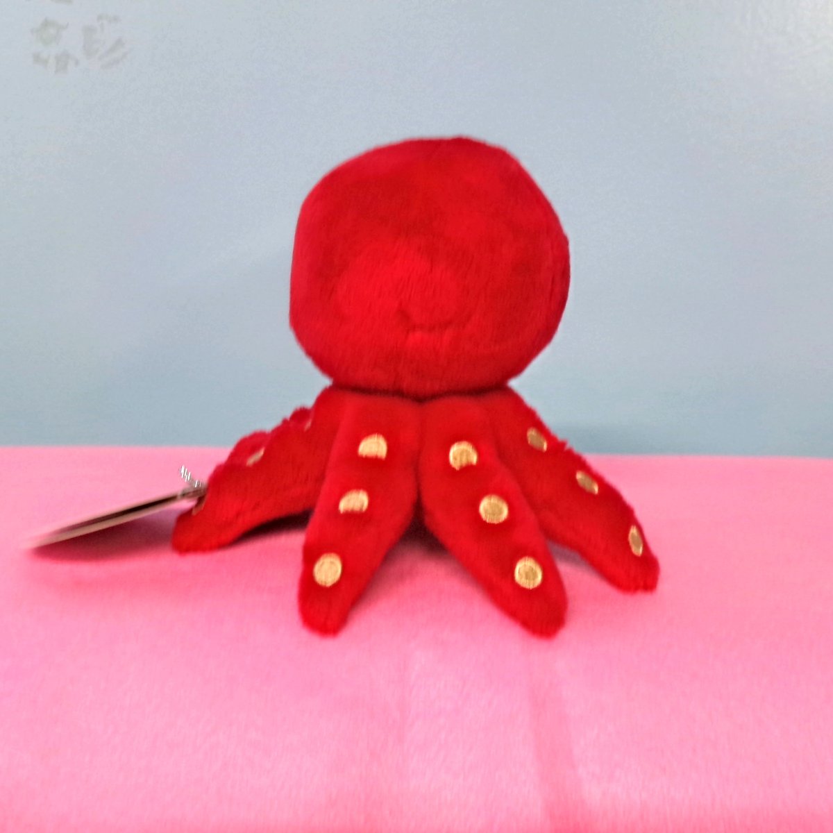 オリジナル たこ。M | おたる水族館 ペン太のおみやげや