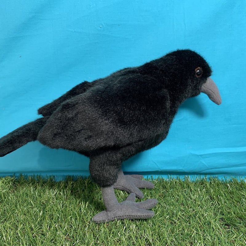 カラスのぬいぐるみ | おたる水族館 ペン太のおみやげや