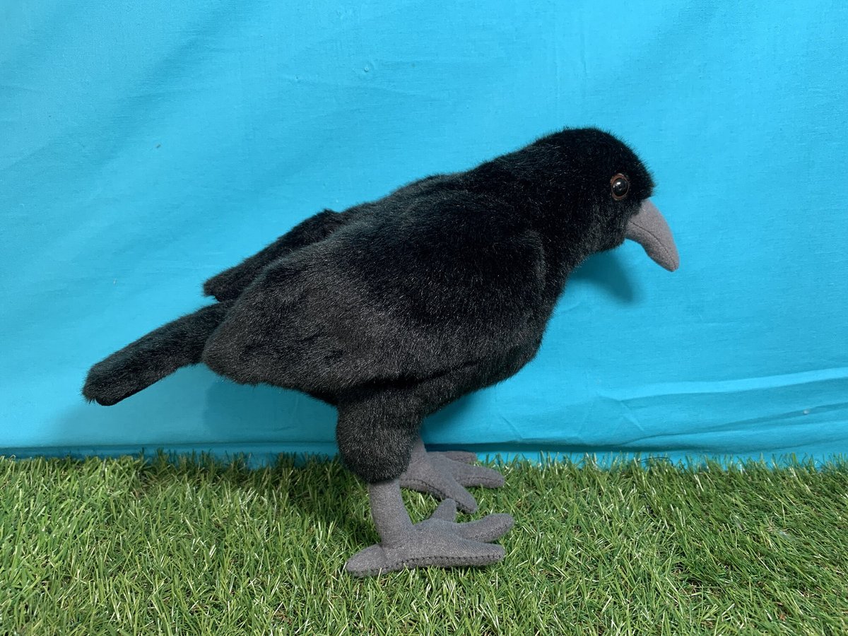 1点もの♥ぬいぐるみ✽アートドール✽手足可動✽アルビノカラス✽スーパーデラックス 1点もの♥ぬいぐるみ✽アートドール✽手足可動✽アルビノカラス