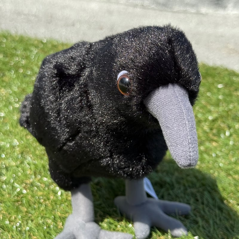 たたずみカラス | おたる水族館 ペン太のおみやげや