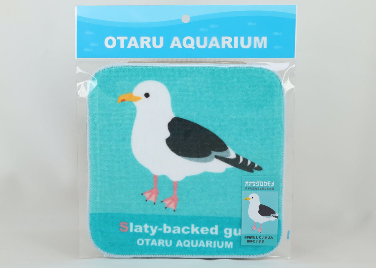 オリジナルミニタオル オオセグロカモメ（勝手にいます） | おたる