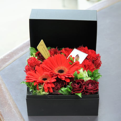 boxflower | STORES