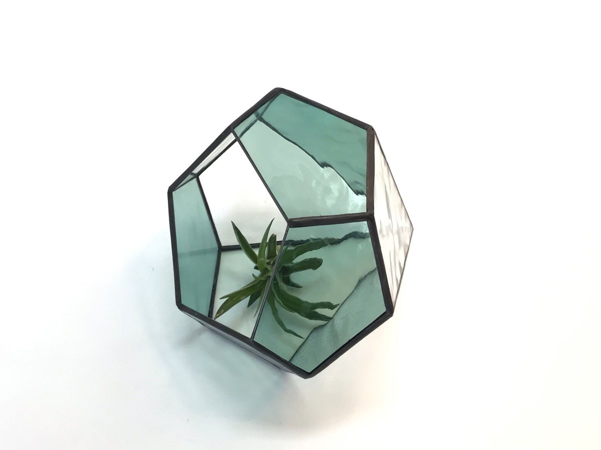 ダイヤ型テラリウム（M シーグリーン） | GlassWorks あまね's STORE
