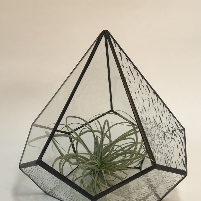 ダイヤ形テラリウム（L クリアー） | GlassWorks あまね's STORE