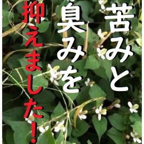 国産どくだみ茶 3ヶ月ごとお届け