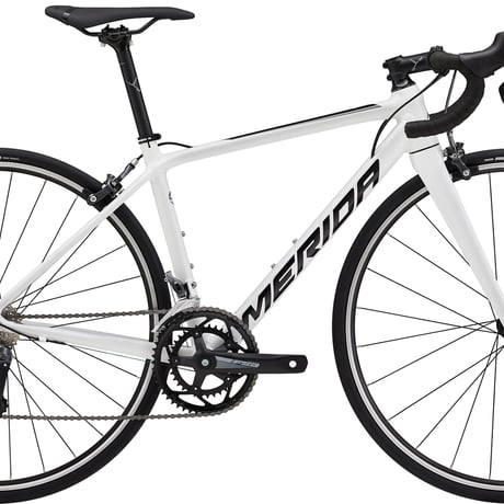 MERIDA・SCULTURA RIM 100