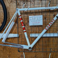 （在庫限りの限定特価）CASATI LINEA ORO Classic