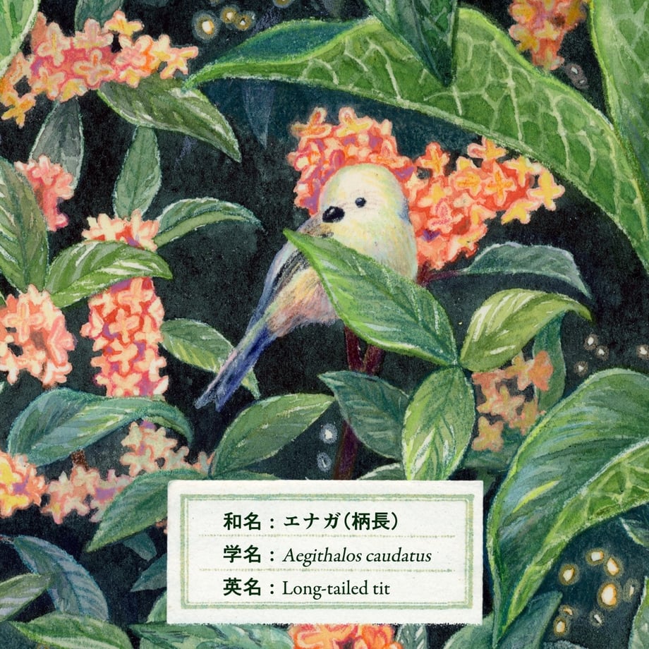 63c8f541ae516e61375f468c
