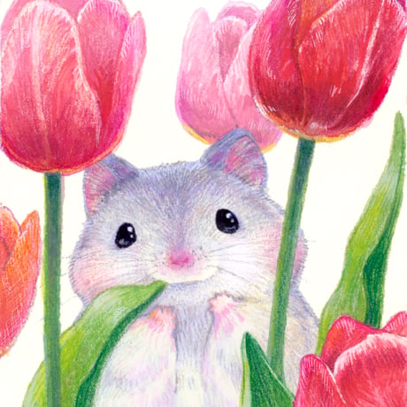 Oshiruko illustration SHOP