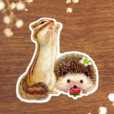 シマリス | STORES
