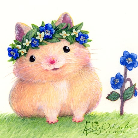 Oshiruko illustration SHOP