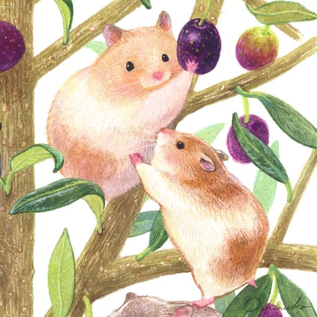 Art Book & Postcard 《A Time We Want to Have》 【English Ver./英語版】 - Unique hamsters on an olive tree
