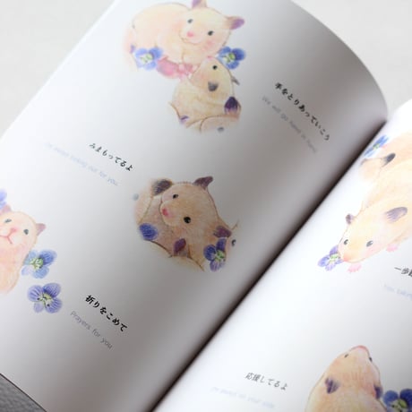 アートブック＆ポストカードセット《どんなきみも》【日本語+英語】｜30匹のキンクマハムスターのおもちと30輪のオオイヌノフグリの花